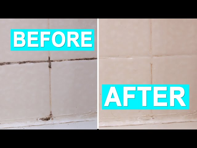 Vinegar Solutions for Pest Control