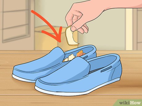 effective shoe odor solutions