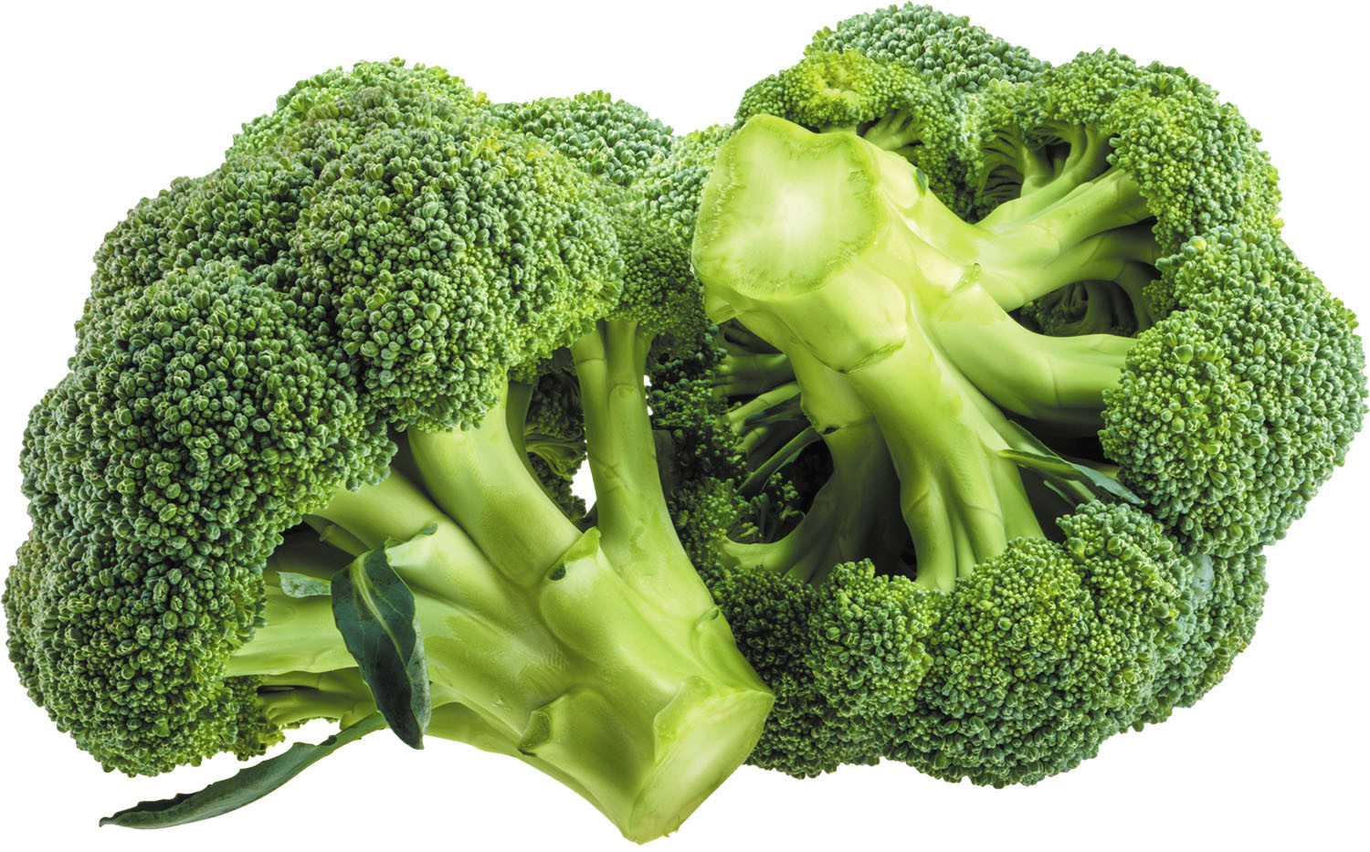 Steaming Broccoli