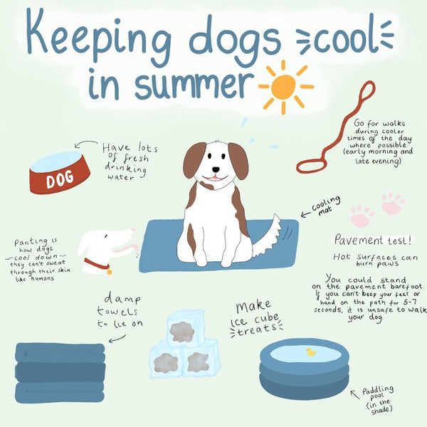 Cooling Methods for Dogs