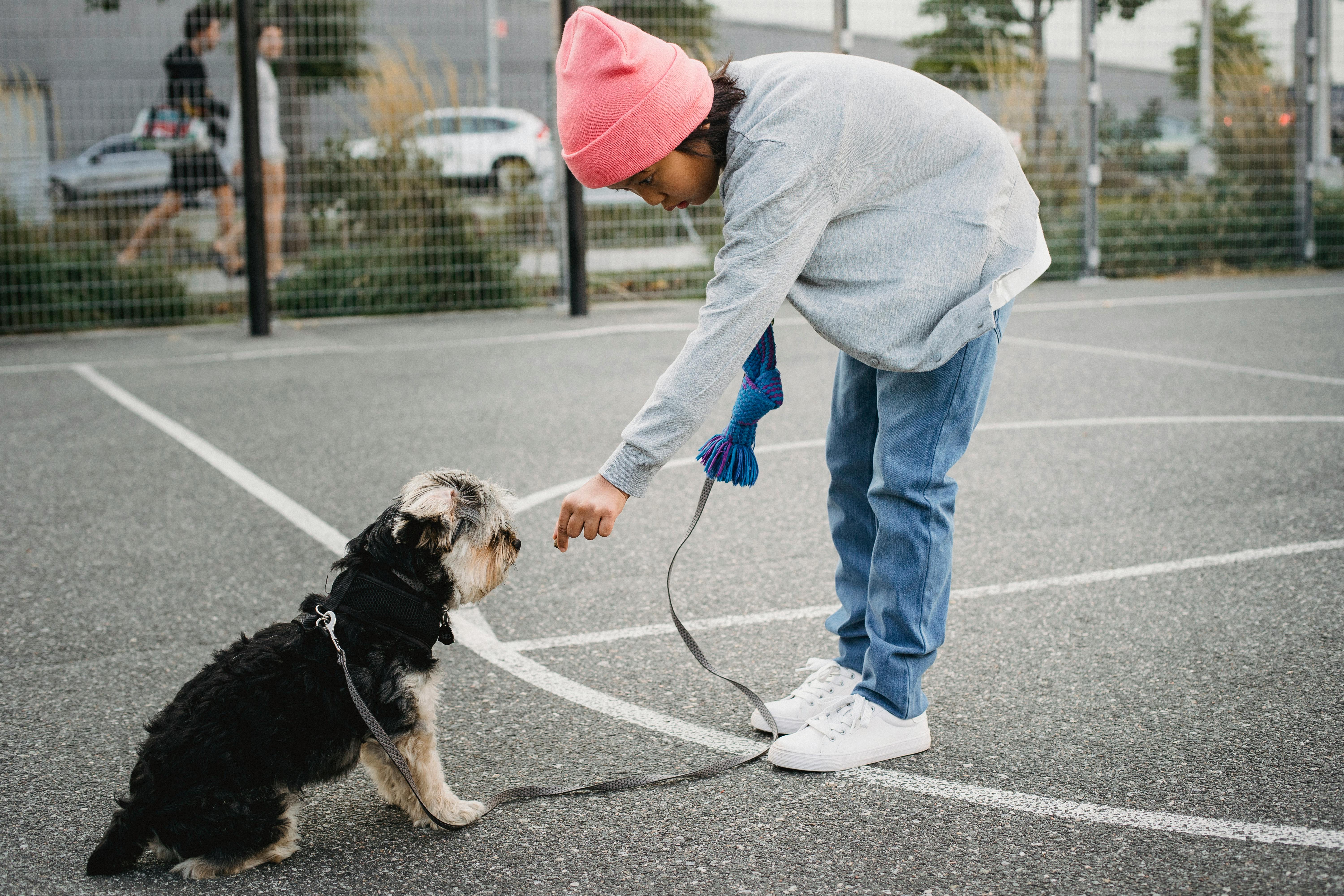 Assistance Dog Training